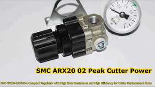 SMC ARX20-02